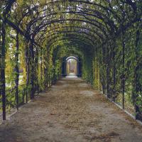 Trouver sa voie professionnelle. Avez vous pensé au coaching de vie ?